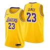 Los Angeles Lakers 23 Lebron James Icon Edition Gold Swingman Jersey