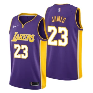 Men Los Angeles Lakers 23 LeBron James Statement Purple Swingman Jersey