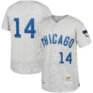 Mens Chicago Cubs Ernie Banks Mitchell & Ness Gray Away 1969 Jersey