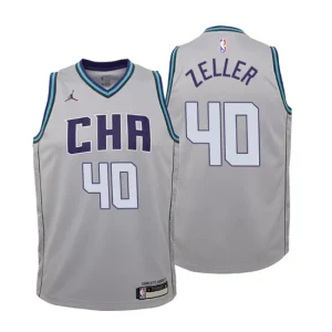 Youth 2019-20 Charlotte Hornets 40 Cody Zeller City Gray Swingman Jersey