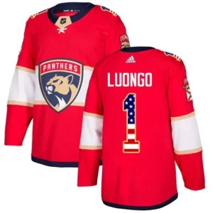 Youth Florida Panthers Roberto Luongo 1 Red USA Flag Fashion Authentic